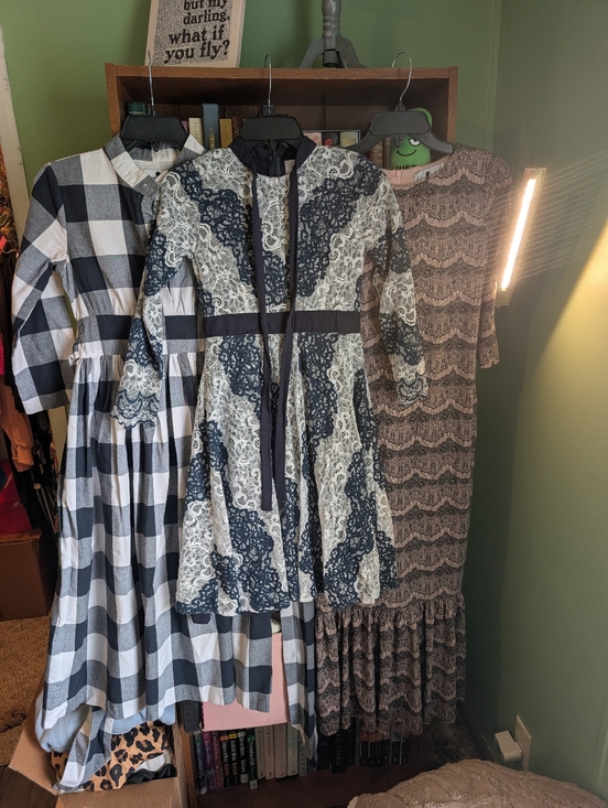 Dainty Jewells Other - Bundle Of 3 Dainty Jewels Girls Dresses